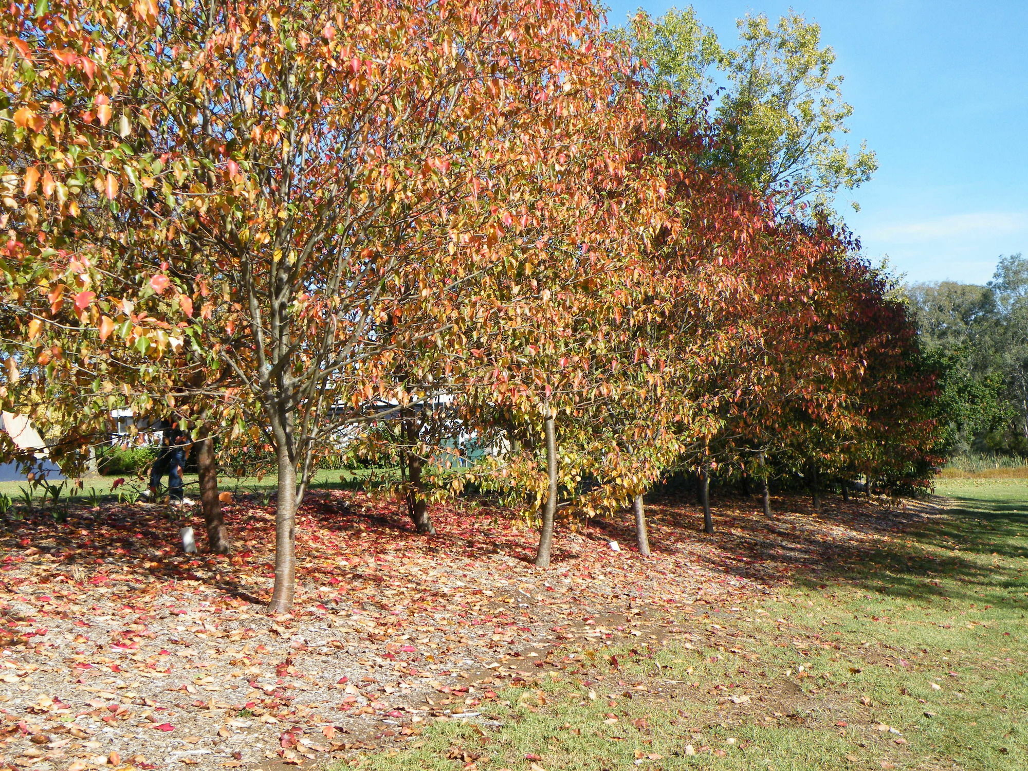 Holiday park Motor Village And